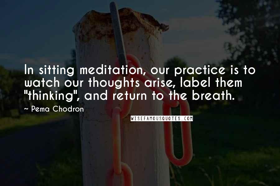 Pema Chodron Quotes: In sitting meditation, our practice is to watch our thoughts arise, label them "thinking", and return to the breath.