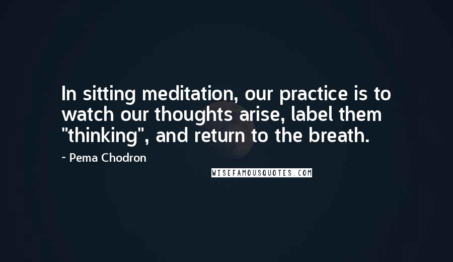 Pema Chodron Quotes: In sitting meditation, our practice is to watch our thoughts arise, label them "thinking", and return to the breath.