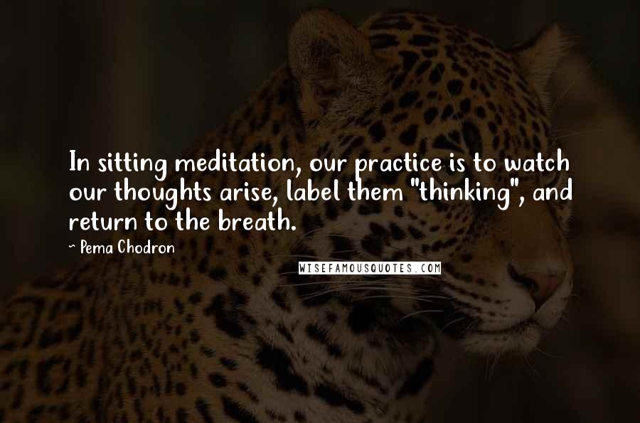 Pema Chodron Quotes: In sitting meditation, our practice is to watch our thoughts arise, label them "thinking", and return to the breath.