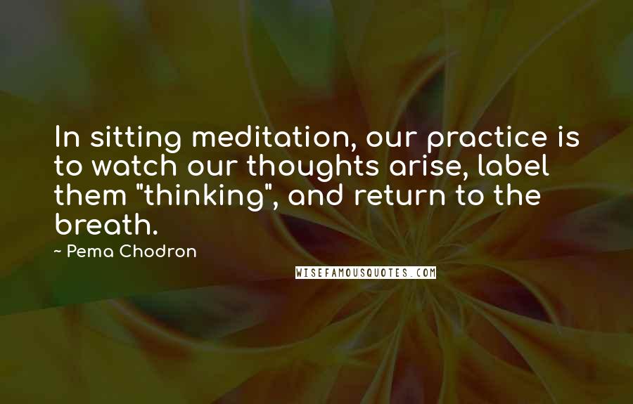 Pema Chodron Quotes: In sitting meditation, our practice is to watch our thoughts arise, label them "thinking", and return to the breath.