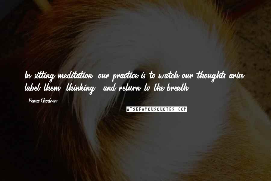 Pema Chodron Quotes: In sitting meditation, our practice is to watch our thoughts arise, label them "thinking", and return to the breath.