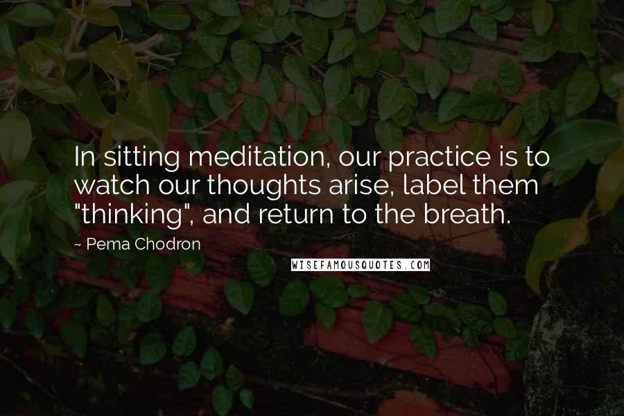 Pema Chodron Quotes: In sitting meditation, our practice is to watch our thoughts arise, label them "thinking", and return to the breath.