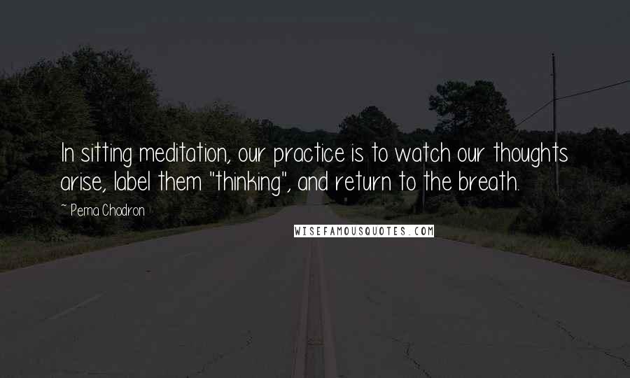 Pema Chodron Quotes: In sitting meditation, our practice is to watch our thoughts arise, label them "thinking", and return to the breath.