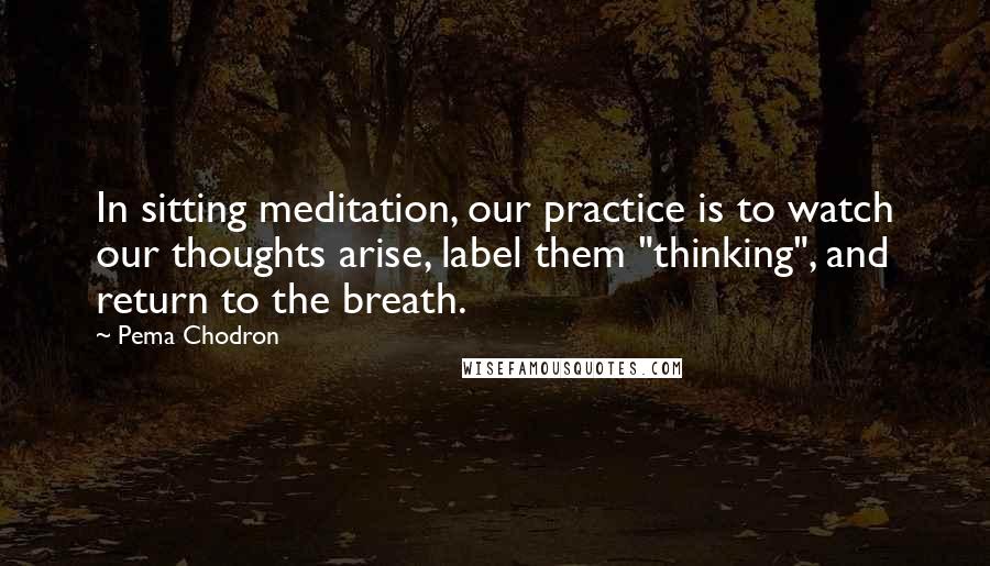 Pema Chodron Quotes: In sitting meditation, our practice is to watch our thoughts arise, label them "thinking", and return to the breath.