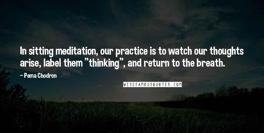 Pema Chodron Quotes: In sitting meditation, our practice is to watch our thoughts arise, label them "thinking", and return to the breath.