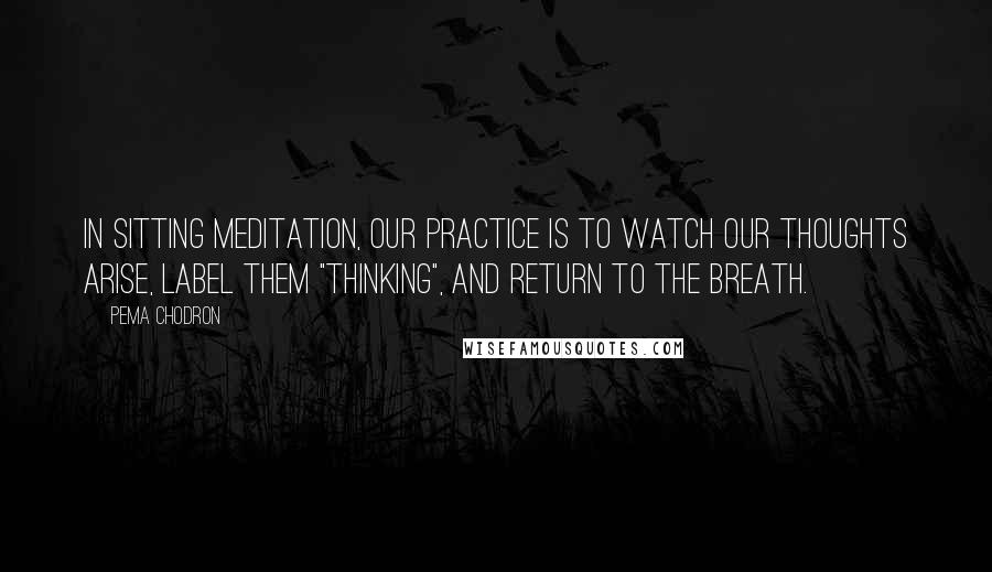 Pema Chodron Quotes: In sitting meditation, our practice is to watch our thoughts arise, label them "thinking", and return to the breath.