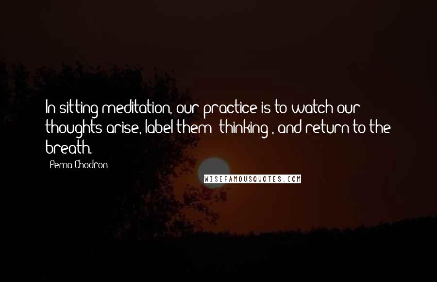 Pema Chodron Quotes: In sitting meditation, our practice is to watch our thoughts arise, label them "thinking", and return to the breath.