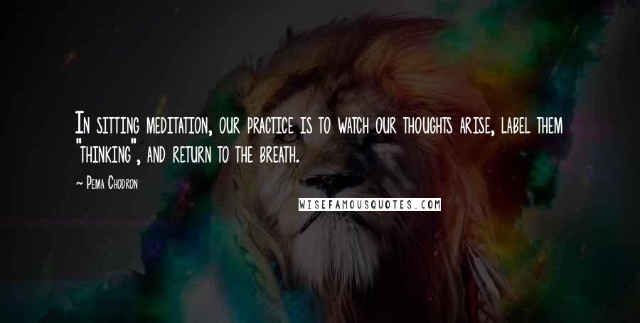 Pema Chodron Quotes: In sitting meditation, our practice is to watch our thoughts arise, label them "thinking", and return to the breath.