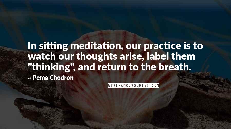 Pema Chodron Quotes: In sitting meditation, our practice is to watch our thoughts arise, label them "thinking", and return to the breath.