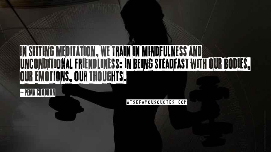 Pema Chodron Quotes: In sitting meditation, we train in mindfulness and unconditional friendliness: in being steadfast with our bodies, our emotions, our thoughts.