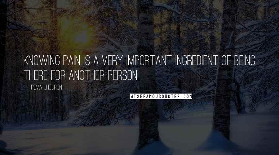 Pema Chodron Quotes: Knowing pain is a very important ingredient of being there for another person.