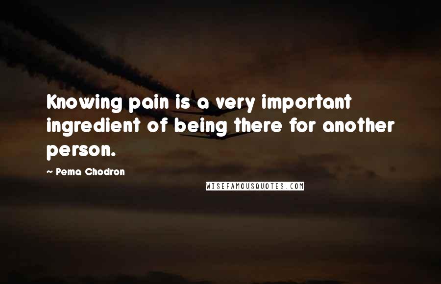 Pema Chodron Quotes: Knowing pain is a very important ingredient of being there for another person.