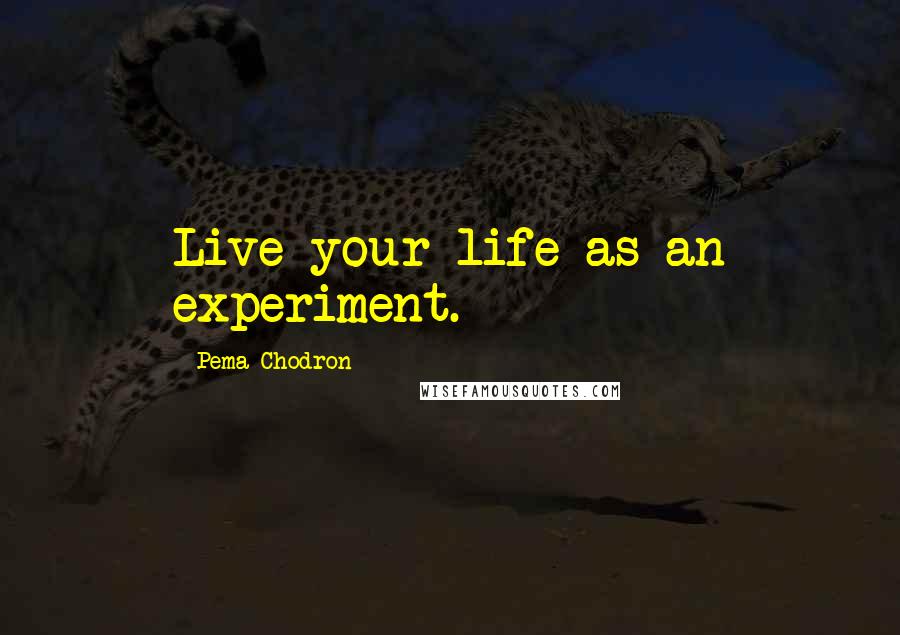 Pema Chodron Quotes: Live your life as an experiment.