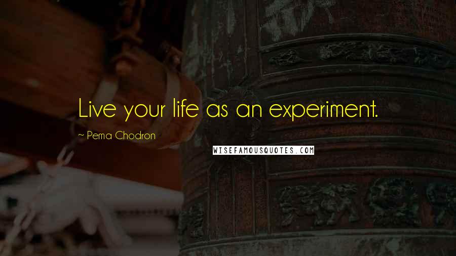 Pema Chodron Quotes: Live your life as an experiment.