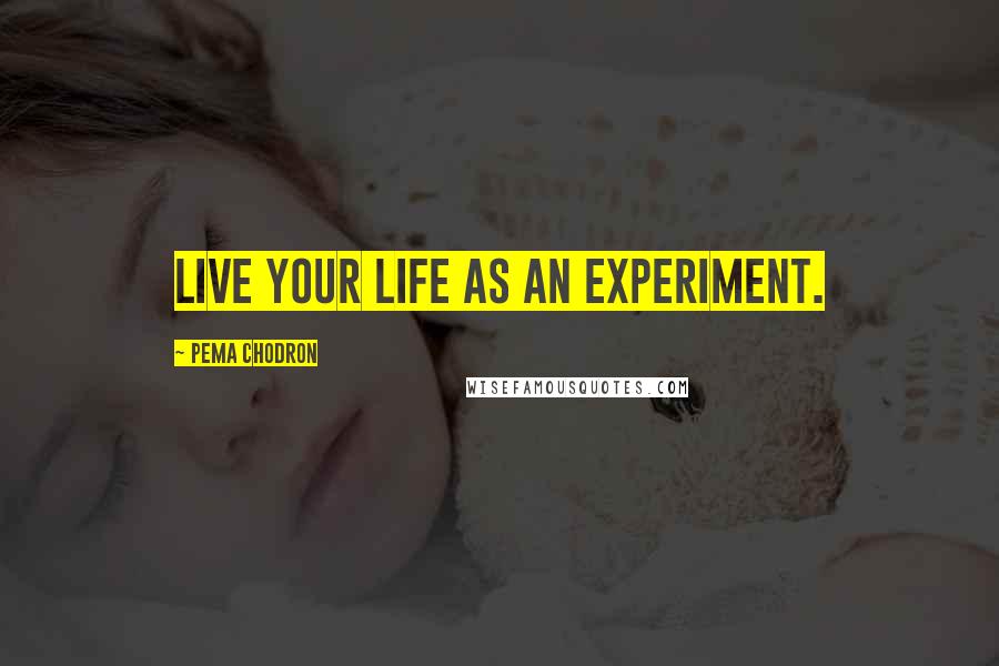 Pema Chodron Quotes: Live your life as an experiment.