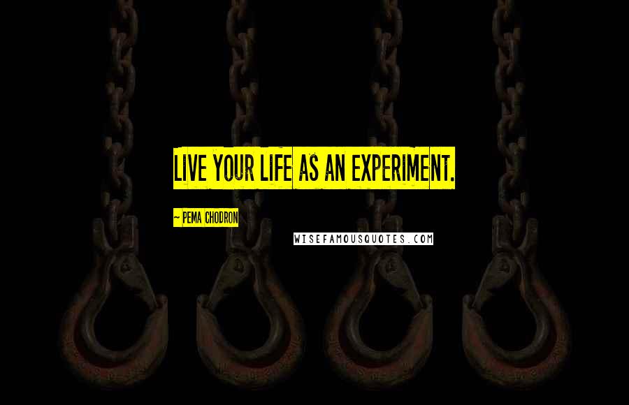 Pema Chodron Quotes: Live your life as an experiment.