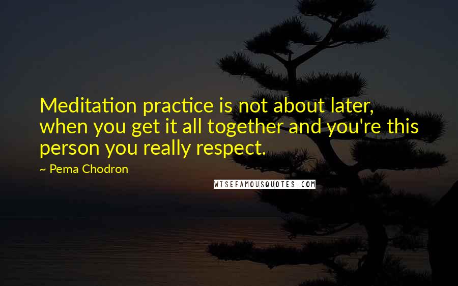 Pema Chodron Quotes: Meditation practice is not about later, when you get it all together and you're this person you really respect.