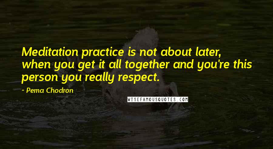 Pema Chodron Quotes: Meditation practice is not about later, when you get it all together and you're this person you really respect.