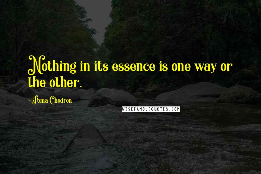 Pema Chodron Quotes: Nothing in its essence is one way or the other.