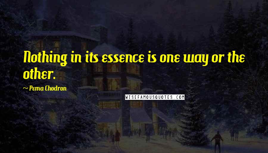 Pema Chodron Quotes: Nothing in its essence is one way or the other.