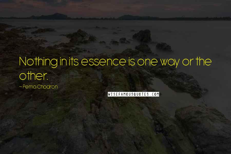 Pema Chodron Quotes: Nothing in its essence is one way or the other.