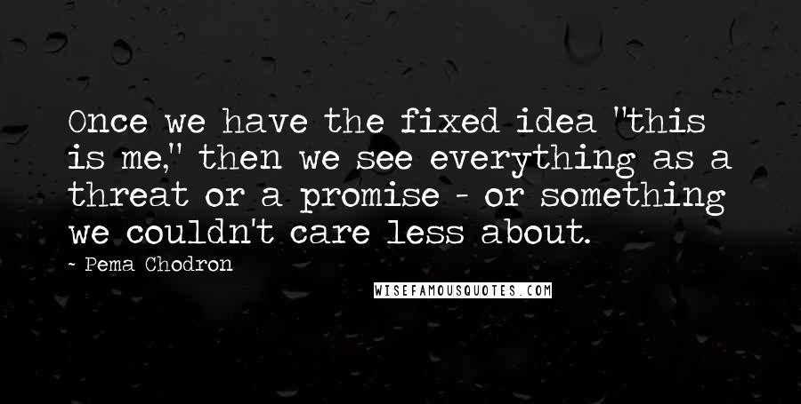 Pema Chodron Quotes: Once we have the fixed idea "this is me," then we see everything as a threat or a promise - or something we couldn't care less about.