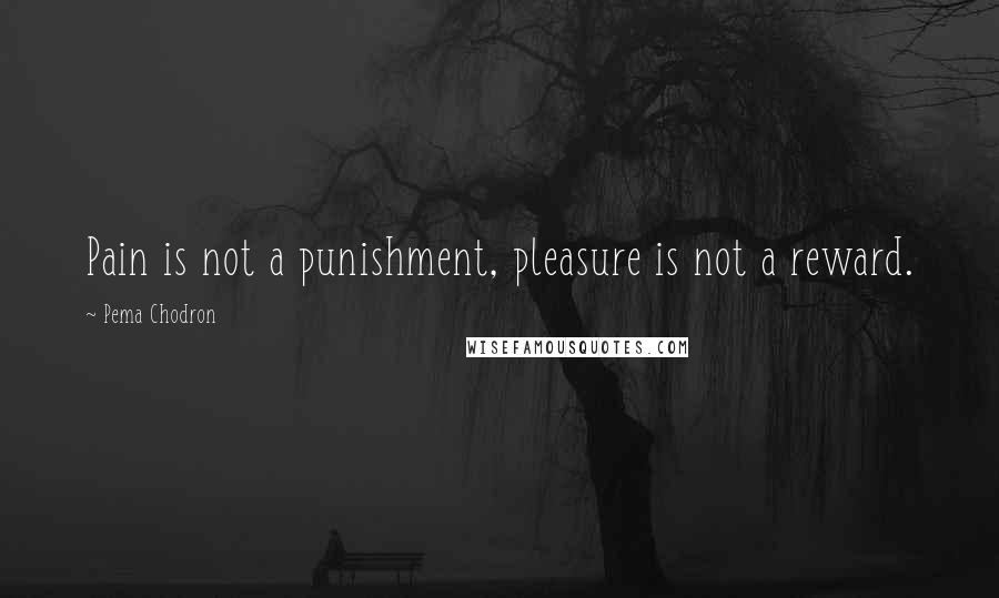 Pema Chodron Quotes: Pain is not a punishment, pleasure is not a reward.