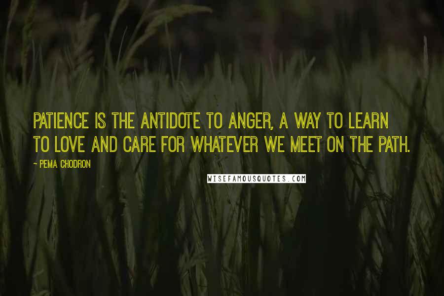 Pema Chodron Quotes: PATIENCE is the antidote to anger, a way to learn to love and care for whatever we meet on the path.