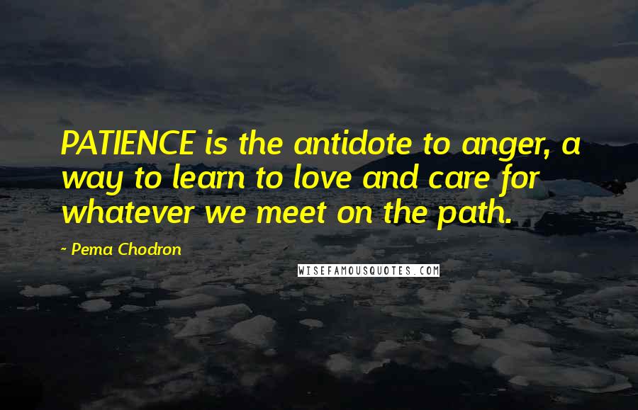 Pema Chodron Quotes: PATIENCE is the antidote to anger, a way to learn to love and care for whatever we meet on the path.