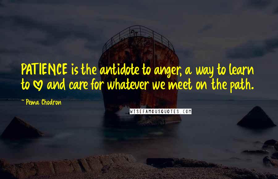 Pema Chodron Quotes: PATIENCE is the antidote to anger, a way to learn to love and care for whatever we meet on the path.