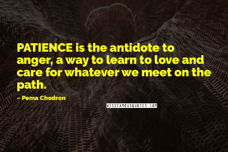 Pema Chodron Quotes: PATIENCE is the antidote to anger, a way to learn to love and care for whatever we meet on the path.
