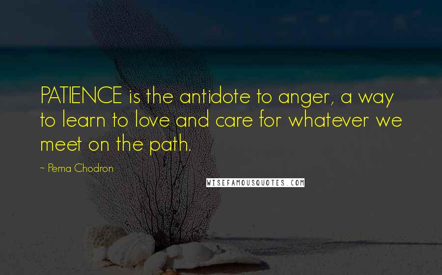 Pema Chodron Quotes: PATIENCE is the antidote to anger, a way to learn to love and care for whatever we meet on the path.