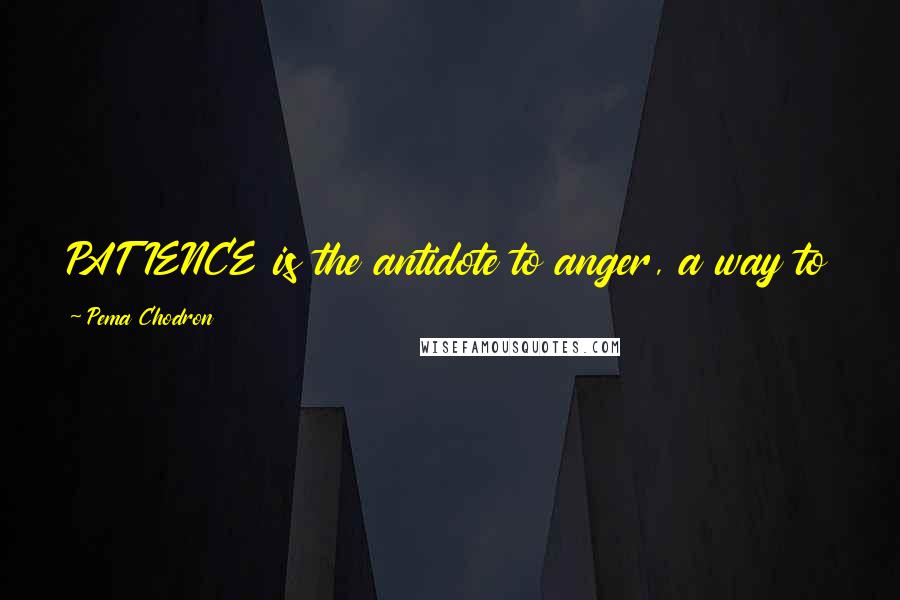 Pema Chodron Quotes: PATIENCE is the antidote to anger, a way to learn to love and care for whatever we meet on the path.