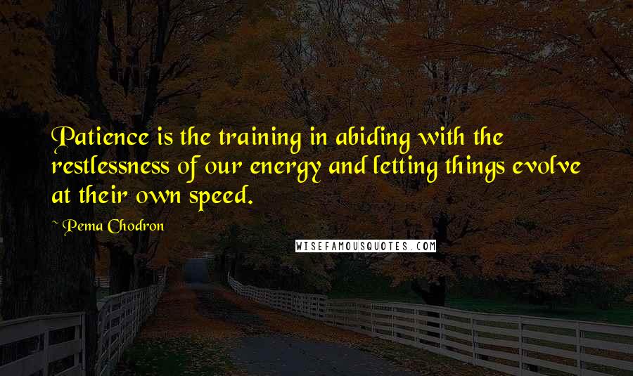 Pema Chodron Quotes: Patience is the training in abiding with the restlessness of our energy and letting things evolve at their own speed.