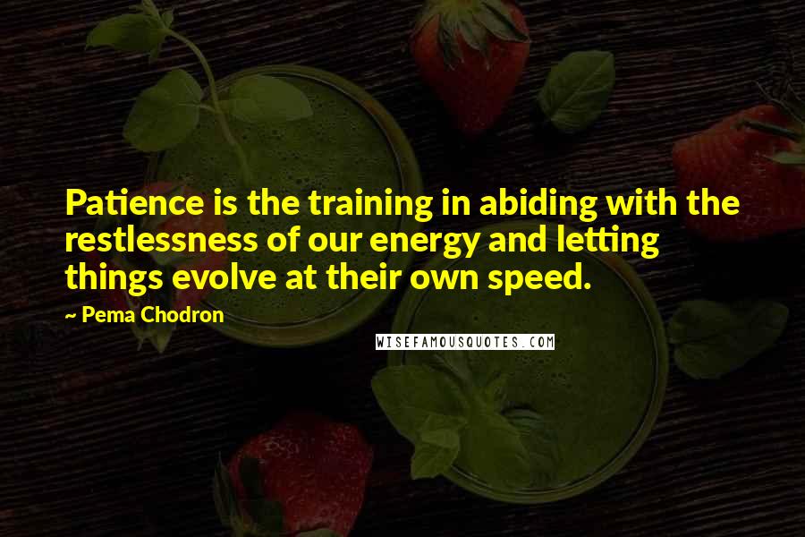 Pema Chodron Quotes: Patience is the training in abiding with the restlessness of our energy and letting things evolve at their own speed.
