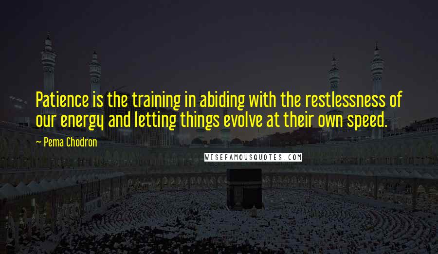 Pema Chodron Quotes: Patience is the training in abiding with the restlessness of our energy and letting things evolve at their own speed.