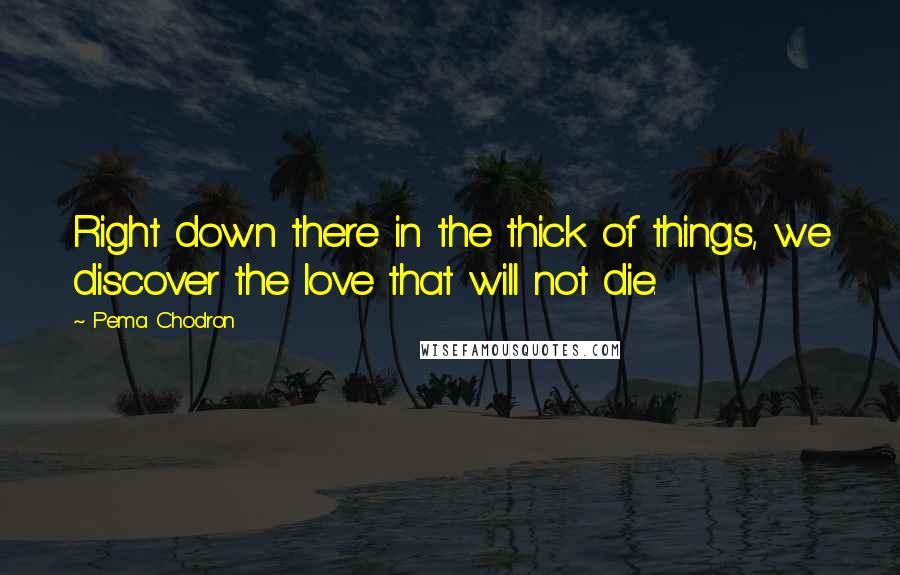 Pema Chodron Quotes: Right down there in the thick of things, we discover the love that will not die.