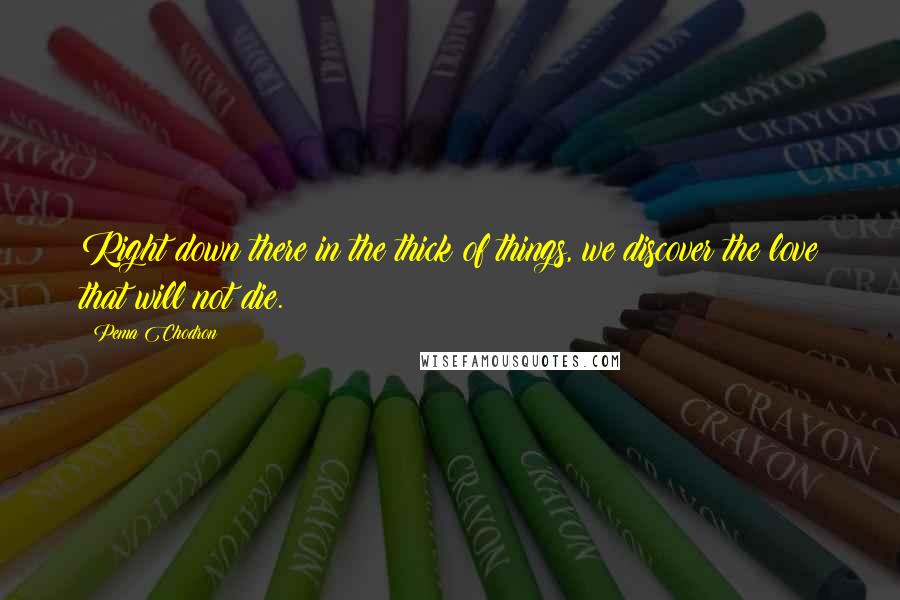 Pema Chodron Quotes: Right down there in the thick of things, we discover the love that will not die.