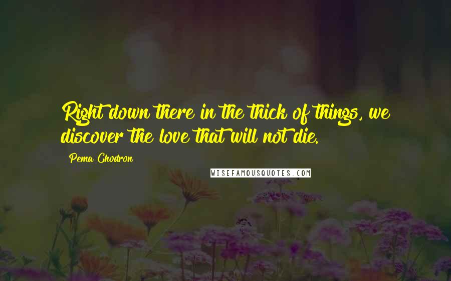 Pema Chodron Quotes: Right down there in the thick of things, we discover the love that will not die.