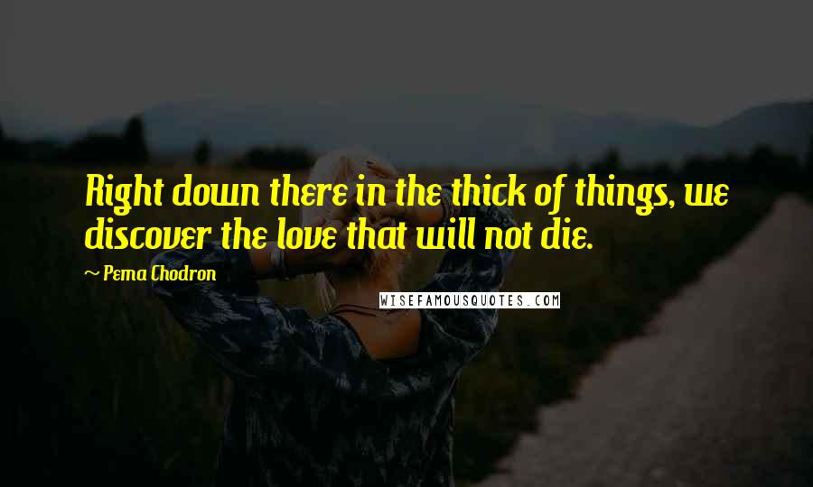 Pema Chodron Quotes: Right down there in the thick of things, we discover the love that will not die.