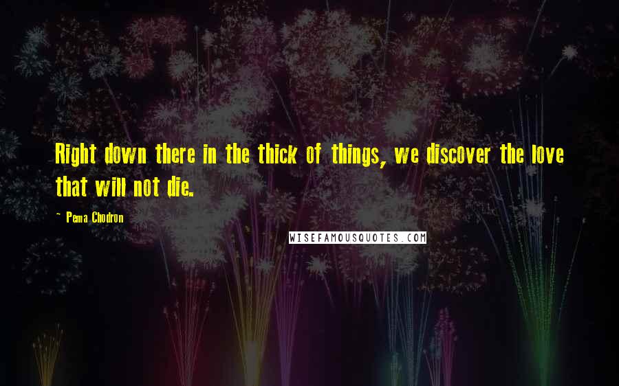 Pema Chodron Quotes: Right down there in the thick of things, we discover the love that will not die.