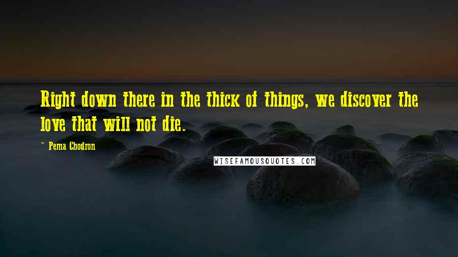 Pema Chodron Quotes: Right down there in the thick of things, we discover the love that will not die.