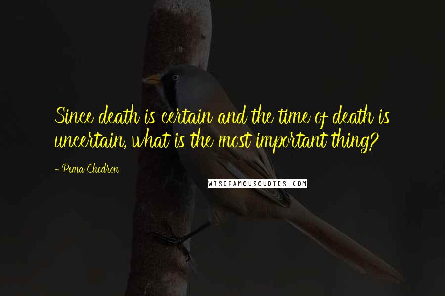 Pema Chodron Quotes: Since death is certain and the time of death is uncertain, what is the most important thing?