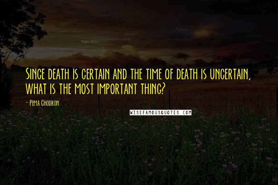 Pema Chodron Quotes: Since death is certain and the time of death is uncertain, what is the most important thing?