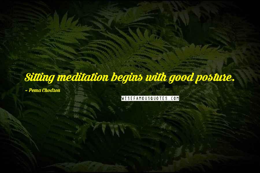 Pema Chodron Quotes: Sitting meditation begins with good posture.