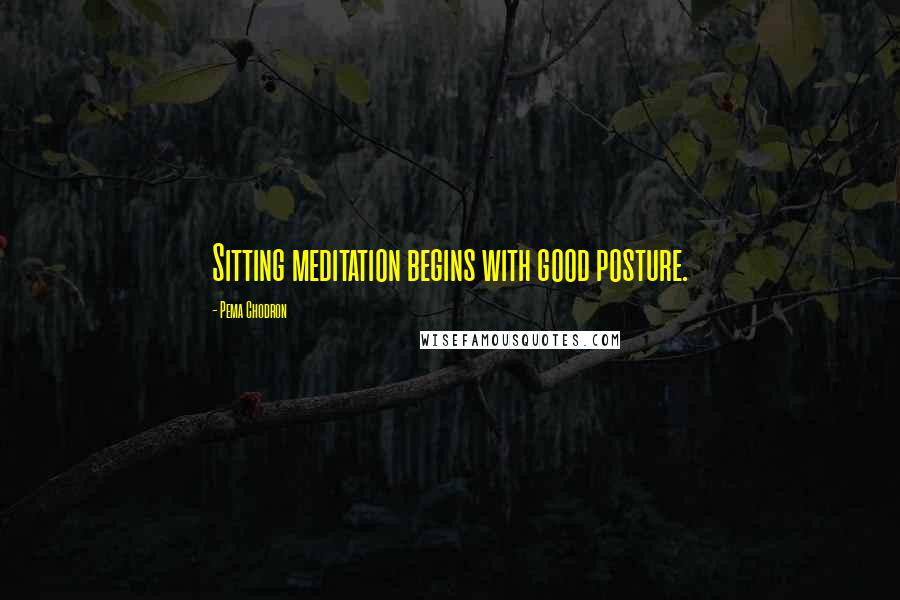 Pema Chodron Quotes: Sitting meditation begins with good posture.