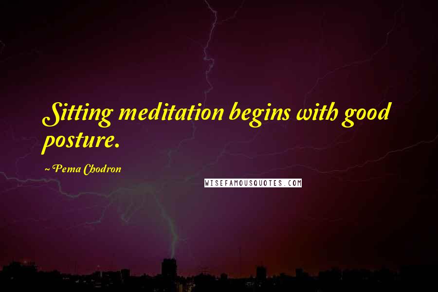 Pema Chodron Quotes: Sitting meditation begins with good posture.