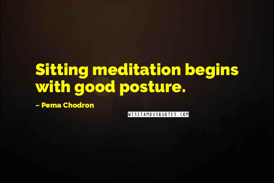 Pema Chodron Quotes: Sitting meditation begins with good posture.