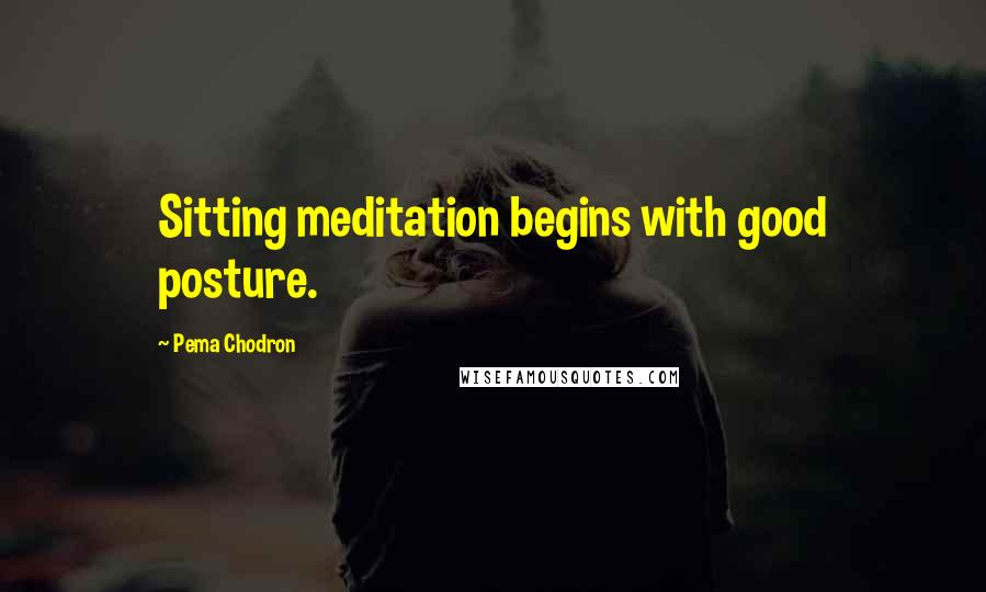 Pema Chodron Quotes: Sitting meditation begins with good posture.