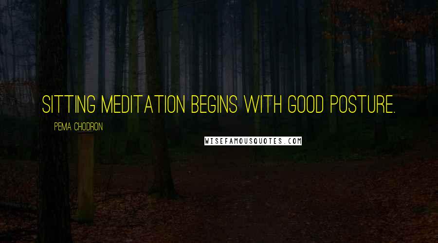 Pema Chodron Quotes: Sitting meditation begins with good posture.